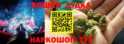 PSILOCYBIN Новодвинск