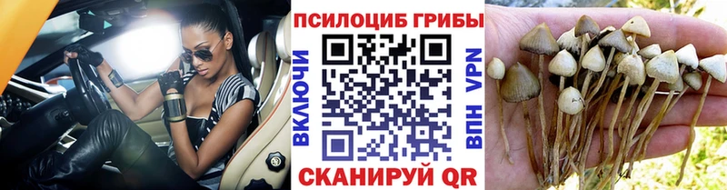 дарк нет клад  Сыктывкар  Псилоцибиновые грибы ЛСД 